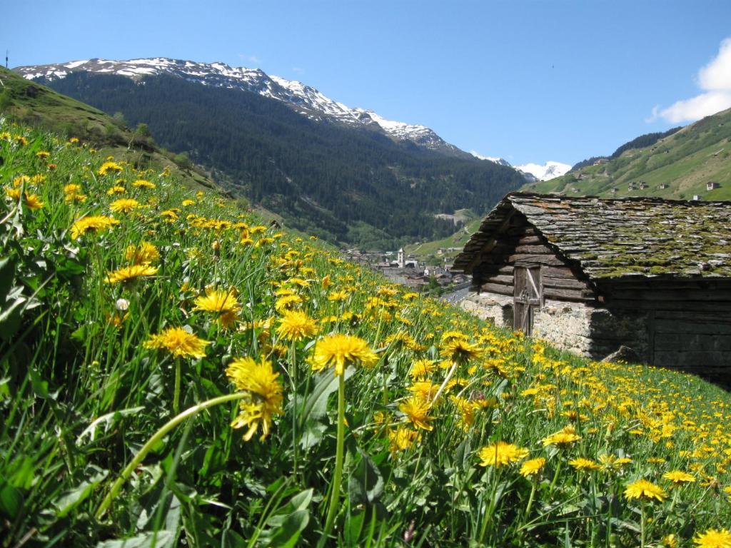 Ferienwohnung Mura Vals Exterior photo